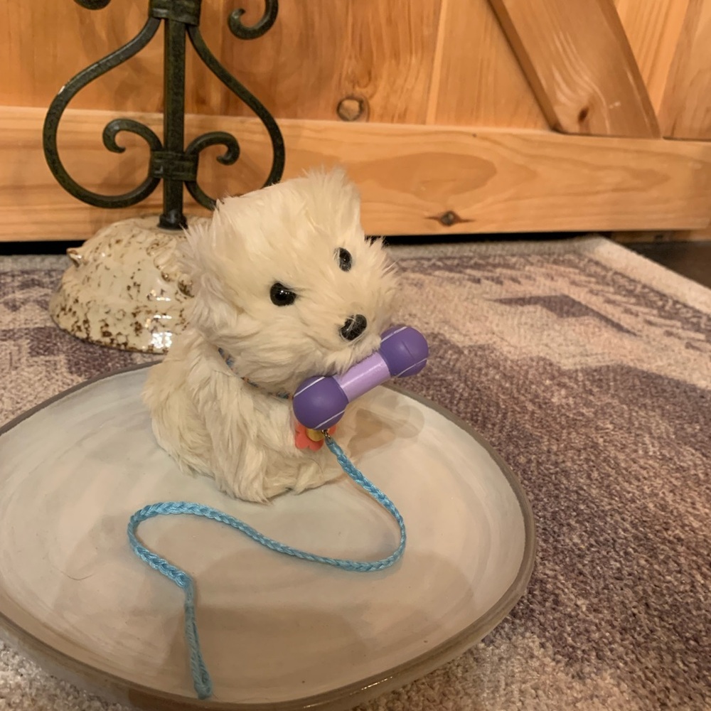 American Girl of Today Vintage Coconut the dog